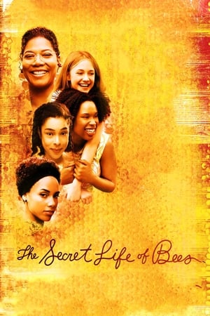 The Secret Life of Bees poster 2