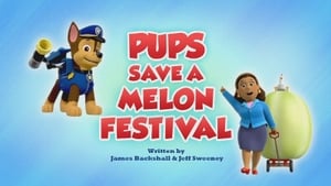 Pups Bear-ly Save Danny/Pups Save the Mayor's Tulips image 0