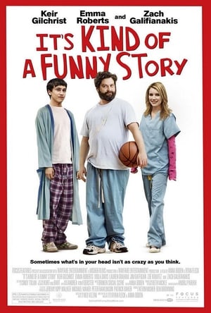 It's Kind of a Funny Story poster 4