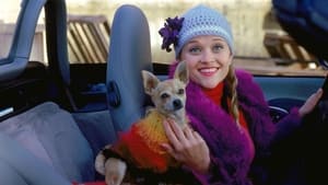 Legally Blonde image 7