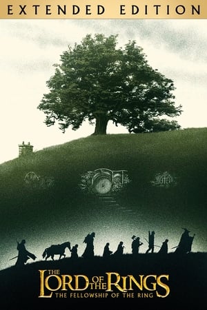 The Lord of the Rings: The Fellowship of the Ring poster 4