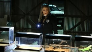 CSI: Crime Scene Investigation, Season 15 - Under My Skin image