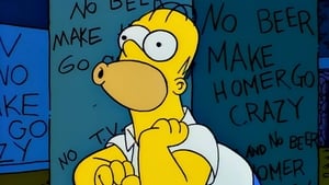 The Simpsons, Season 6 - Treehouse of Horror V image