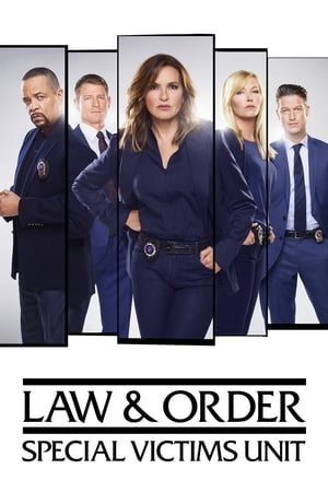 Law & Order: SVU (Special Victims Unit), Season 13 poster 3