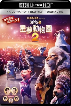 Sing 2 poster 4