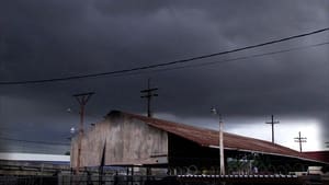Pit Bulls and Parolees, Season 4 - Storm on the Horizon image