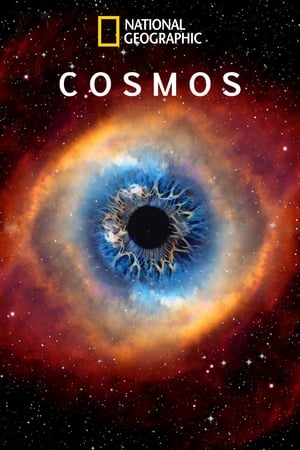 Cosmos: Possible Worlds poster 3