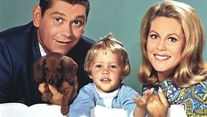 Bewitched: The Complete Series image 0