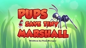 PAW Patrol, Vol. 4 - Pups Save Tiny Marshall image