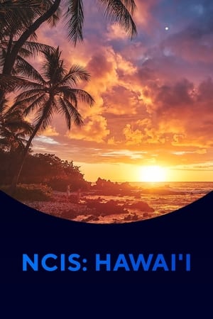NCIS: Hawai'i, Season 1 poster 1
