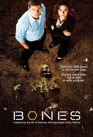 Bones: Starter Pack poster 2