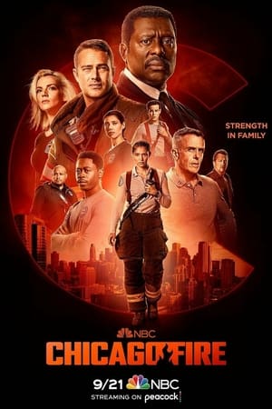 Chicago Fire, Season 11 poster 0