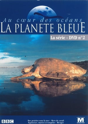 The Blue Planet poster 3