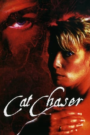 Cat Chaser poster 2