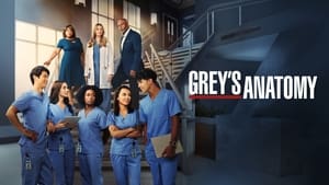Grey's Anatomy, Season 12 image 0