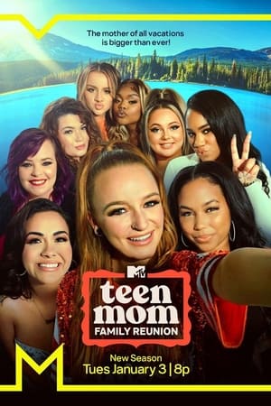 Teen Mom Family Reunion, Season 3 poster 1