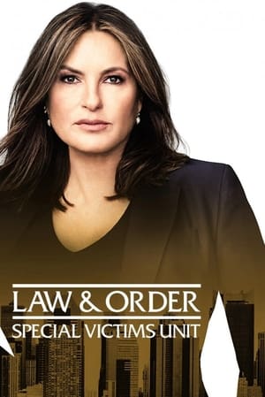 Law & Order: SVU (Special Victims Unit), Season 12 poster 0