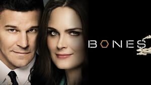 Bones, Season 4 image 0