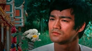 History's Greatest Mysteries, Season 2 - The Death of Bruce Lee image