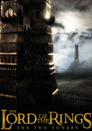 The Lord of the Rings: The Two Towers poster 1