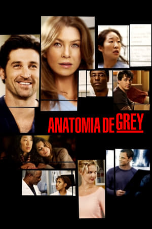 Grey's Anatomy, Season 16 poster 0