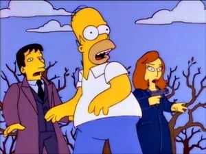 The Simpsons, Season 8 - The Springfield Files image