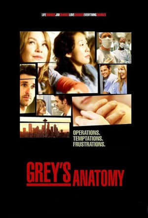 Grey's Anatomy, Season 8 poster 0