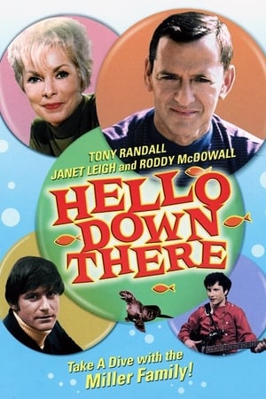 Hello Down There poster 4