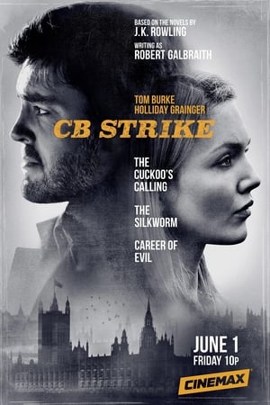 CB Strike: Troubled Blood poster 3