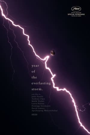 The Year of the Everlasting Storm poster 3