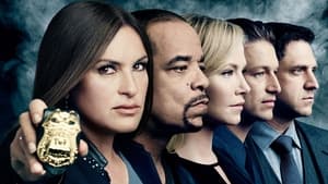 Law & Order: SVU (Special Victims Unit), Season 10 image 3