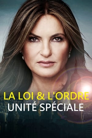 Law & Order: SVU (Special Victims Unit), Season 19 poster 0