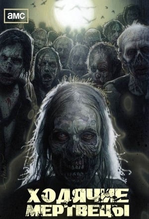 The Walking Dead, Season 10 poster 0