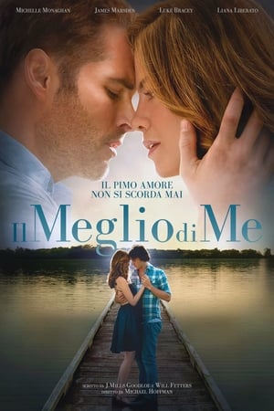 The Best of Me poster 3