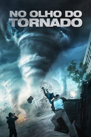 Into the Storm (2014) poster 4