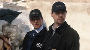 NCIS, Season 19 - Fight or Flight image