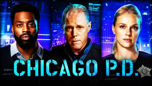 Chicago PD, Season 11 image 3