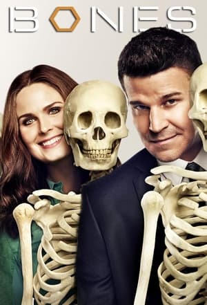 Bones, The Complete Series poster 3