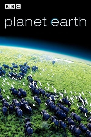 Planet Earth Diaries poster 3