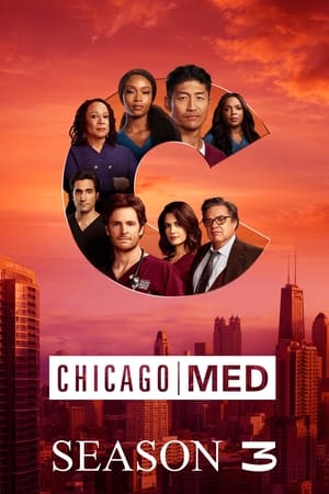 Chicago Med, Season 1 poster 2