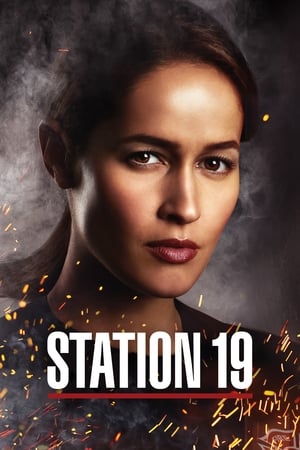 Station 19, Season 6 poster 3