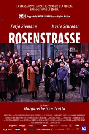 Rosenstrasse poster 1