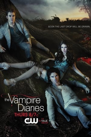 The Vampire Diaries, Season 8 poster 3