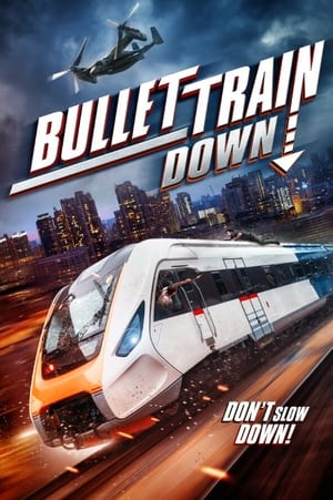 Bullet Train poster 4