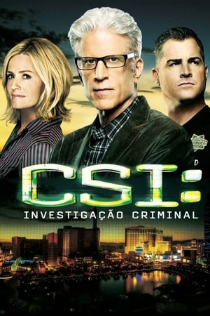 CSI: Crime Scene Investigation, Season 13 poster 0