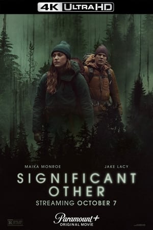 Significant Other poster 4