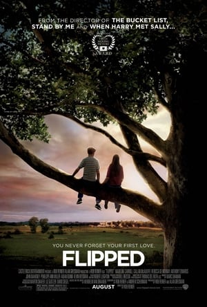 Flipped (2010) poster 4
