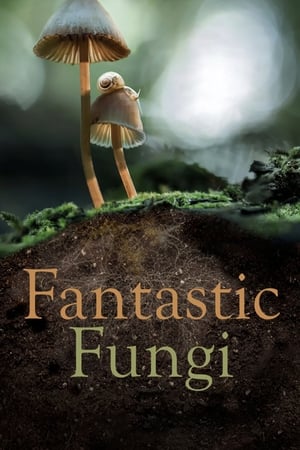 Fantastic Fungi poster 1